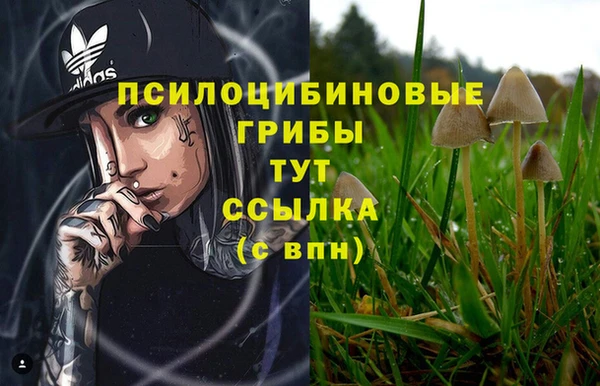 спайс Балабаново