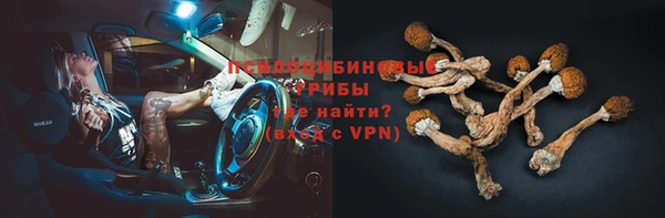гашик Балахна