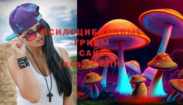 гашик Балахна