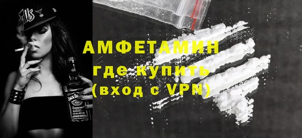 индика Володарск