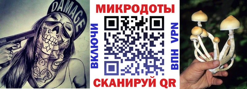 Галлюциногенные грибы Psilocybine cubensis  мега ссылка  Красноуральск 